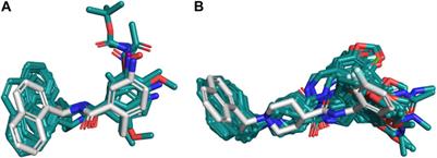 Computational study of the binding orientation and affinity of noncovalent inhibitors of the papain-like protease (PLpro) from SARS-CoV-1 considering the protein flexibility by using molecular dynamics and cross-docking